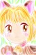 neko-sakura.JPG